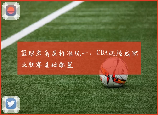 篮球架高度标准统一,CBA规格成职业联赛基础配置
