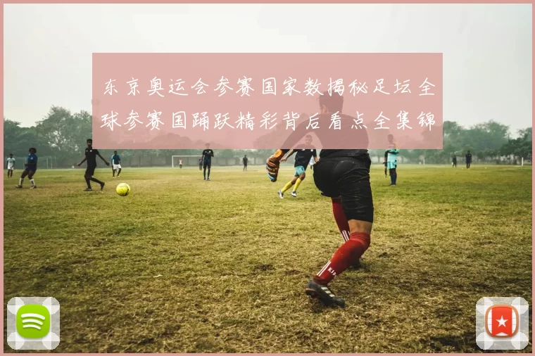 东京奥运会参赛国家数揭秘足坛全球参赛国踊跃精彩背后看点全集锦