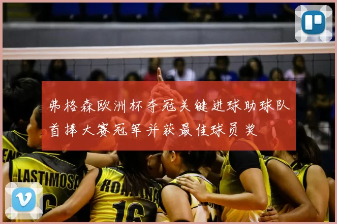 弗格森欧洲杯夺冠关键进球助球队首捧大赛冠军并获最佳球员奖