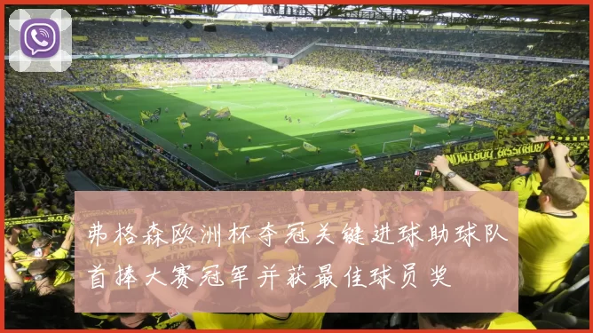 弗格森欧洲杯夺冠关键进球助球队首捧大赛冠军并获最佳球员奖