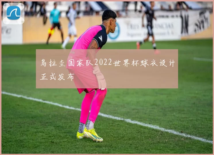 乌拉圭国家队2022世界杯球衣设计正式发布